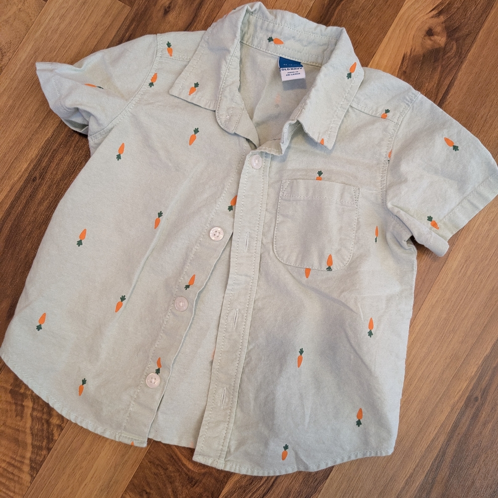Old Navy Kids Button Down Shirt - Light Green with Orange Carrot Print